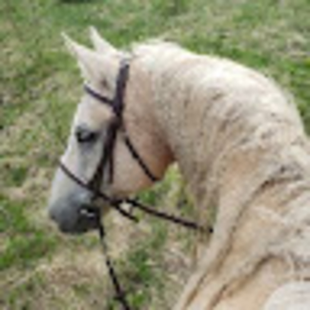 Meet your Posher, Jazmine